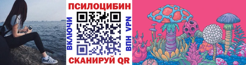 Псилоцибиновые грибы Cubensis  Почеп 