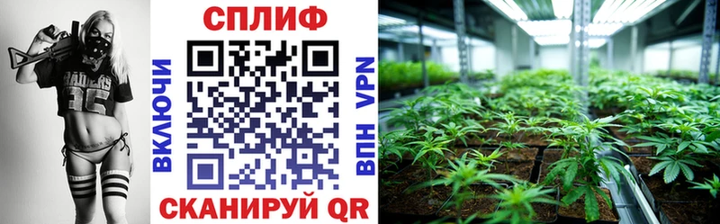 Марихуана THC 21%  как найти   Почеп 
